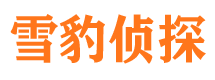 枣阳市私家侦探